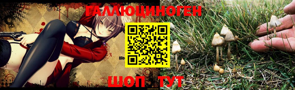 Кузнецк  Псилоцибиновые грибы Psilocybine cubensis  сколько стоит  Вход с VPN  Псилоцибиновые грибы мицелий 